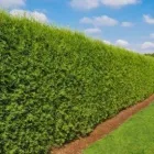 Przedsiębiorstwo 1 wizerunek PATRYK PŁATEK BUD-HOME Zwierzęta Domowe - Hodowla, Pielęgnacja, Tresura w Sosnowiec SL