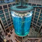 Przedsiębiorstwo 1 wizerunek PAW-LIFT Wózki Elektryczne, Spalinowe, Widłowe w Łódź LD