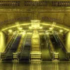 Przedsiębiorstwo 4 wizerunek PAW-LIFT Wózki Elektryczne, Spalinowe, Widłowe w Łódź LD