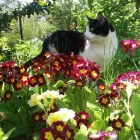 Przedsiębiorstwo 1 wizerunek PEGAZ. KSIĘGARNIA Księgarnie w Wrocław DS