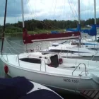 Przedsiębiorstwo 6 wizerunek PHU KAMP MICHAŁ PACHUCKI Nieruchomości - Kupno, Sprzedaż, Wynajem w Łomża PD