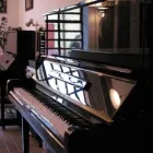 Przedsiębiorstwo 4 wizerunek PIANO-LUX. FORTEPIANY I PIANINA TOMASZ JOŃCZYK PIANOLUX Muzyka - Nauka w Łódź LD