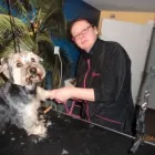 Przedsiębiorstwo 1 wizerunek PIELĘGNACJA I STRZYŻENIE PSÓW TOLA Zwierzęta Domowe - Hodowla, Pielęgnacja, Tresura w Bydgoszcz KP