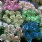 Przedsiębiorstwo 4 wizerunek PORANNA ROSA KWIACIARNIA URSZULA TOMASZEWSKA Kwiaciarnie w Przemyśl PK