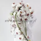 Przedsiębiorstwo 34 wizerunek PRACOWNIA FLORYSTYCZNA PASSJA-FLORA ANNA SMOLIŃSKA-WIECZORKIEWICZ Kwiaciarnie w Lublin LU