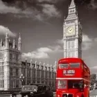 Przedsiębiorstwo 1 wizerunek PRINTDIRECT24.PL Kategoria w Opole OP