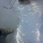 Przedsiębiorstwo 8 wizerunek PRIORITY SERVICES - SPECJALISTYCZNE USŁUGI PORZĄDKOWE Sprzątanie - Usługi w Łódź LD