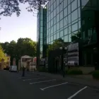 Przedsiębiorstwo 15 wizerunek PRIORITY SERVICES - SPECJALISTYCZNE USŁUGI PORZĄDKOWE Sprzątanie - Usługi w Łódź LD