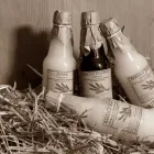 Przedsiębiorstwo 1 wizerunek PRODUCENT ŻURKU I BARSZCZU Z WOLICY RAVIX Spożywcze Artykuły - Produkcja, Hurt w Dębica PK
