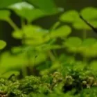 Przedsiębiorstwo 1 wizerunek PROEKOEKSPERT MARTA BOROWIEC Ochrona Środowiska w Wrocław DS