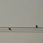 Przedsiębiorstwo 2 wizerunek PROEKOEKSPERT MARTA BOROWIEC Ochrona Środowiska w Wrocław DS