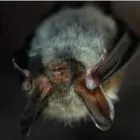 Przedsiębiorstwo 3 wizerunek PROEKOEKSPERT MARTA BOROWIEC Ochrona Środowiska w Wrocław DS