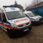 Przedsiębiorstwo 1 wizerunek PRZEWÓZ CHORYCH PRYWATNĄ KARETKĄ. TRANSPORT MEDYCZNY SANITARNY ORAZ NIEPEŁNOSPRAWNYCH. AMBULANS 24H Transport Sanitarny w Warszawa MZ