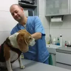 Przedsiębiorstwo 5 wizerunek PRZYCHODNIA WETERYNARYJNA PROVET S.C. Weterynaria - Usługi w Warszawa MZ