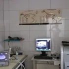 Przedsiębiorstwo 18 wizerunek PRZYCHODNIA WETERYNARYJNA PROVET S.C. Weterynaria - Usługi w Warszawa MZ