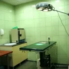 Przedsiębiorstwo 2 wizerunek PRZYCHODNIA WETERYNARYJNA SOSNOWIEC ZAGÓRZE LEK. WET. JUSTYNA WALASEK - GLIŃSKA Weterynaria - Usługi w Sosnowiec SL