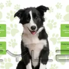 Przedsiębiorstwo 1 wizerunek PRZYCHODNIA ZALESIE - WETERYNARZ RZESZÓW w Rzeszów PK