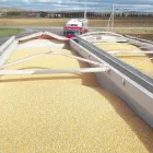 Przedsiębiorstwo 1 wizerunek QUALITY ASSURANCE POLSKA Stacje Sanitarno-epidemiologiczne w Wrocław DS