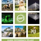 Przedsiębiorstwo 4 wizerunek ROBERT WYŁUPEK Kategoria w Wrocław DS