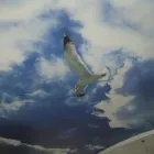 Przedsiębiorstwo 5 wizerunek ROMEK Sufity Podwieszane w Łódź LD