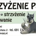 Przedsiębiorstwo 4 wizerunek SALON URODY PSIEJ STRZYŻENIE PSÓW Zwierzęta Domowe - Hodowla, Pielęgnacja, Tresura w Wieliczka MA
