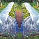 Przedsiębiorstwo 8 wizerunek SHOPLINE.COM.PL Y.D.G. WOJCIECH WENT Telewizja Satelitarna w Warszawa MZ