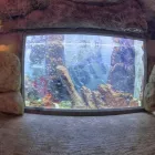 Przedsiębiorstwo 2 wizerunek SKALISTY Solna Terapia w Wrocław DS