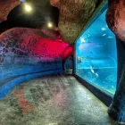 Przedsiębiorstwo 4 wizerunek SKALISTY Solna Terapia w Wrocław DS