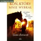 Przedsiębiorstwo 40 wizerunek SKLEP JEŹDZIECKI HIPPOLAND - WWW.HIPPOLAND.COM.PL Kategoria w Łódź LD