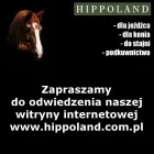 Przedsiębiorstwo 67 wizerunek SKLEP JEŹDZIECKI HIPPOLAND - WWW.HIPPOLAND.COM.PL Kategoria w Łódź LD