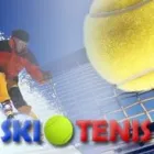 Przedsiębiorstwo 1 wizerunek SKLEP SPORTOWY SKITENIS Sportowe Artykuły, Sprzęt - Detal w Poznań WP