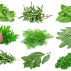 Przedsiębiorstwo 3 wizerunek SKLEP ZIELARSKI NIEZŁE ZIÓŁKO Przyprawy, Koncentraty, Aromaty w Zduńska Wola LD