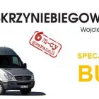 Przedsiębiorstwo 8 wizerunek SKRZYNIE BIEGÓW WROCŁAW CZARNY WOJCIECH Samochody - Stacje Obsługi, Mechanicy w Wrocław DS