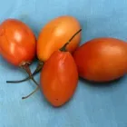 Przedsiębiorstwo 7 wizerunek SMAK ANDÓW- PHU KAGRO Puby, Piwiarnie w Łódź LD