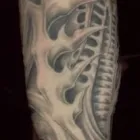 Przedsiębiorstwo 7 wizerunek SNAKE. STUDIO TATUAŻU ARTYSTYCZNEGO Tatuaże - Usługi w Zgierz LD