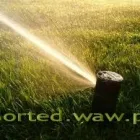 Przedsiębiorstwo 3 wizerunek SORTED Ogrody, Tereny Zieleni - Projektowanie, Utrzymanie w Warszawa MZ