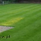 Przedsiębiorstwo 7 wizerunek SORTED Ogrody, Tereny Zieleni - Projektowanie, Utrzymanie w Warszawa MZ