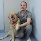 Przedsiębiorstwo 1 wizerunek SPECJALISTYCZNA PRZYCHODNIA WETERYNARYJNA AKACJOWA LEK. WET. JAROSŁAW KOPCIAŁ Zoologiczne Sklepy w Kiełczów DS