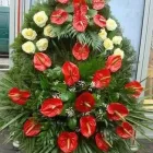 Przedsiębiorstwo 7 wizerunek SPRZEDAŻ KWIATÓW MAŁGORZATA OLSZEWSKA KWIACIARNIA REBEKA Pogrzebowe Usługi w Warszawa MZ