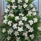 Przedsiębiorstwo 10 wizerunek SPRZEDAŻ KWIATÓW MAŁGORZATA OLSZEWSKA KWIACIARNIA REBEKA Pogrzebowe Usługi w Warszawa MZ