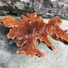 Przedsiębiorstwo 4 wizerunek STOLARSTWO MCKAPKA Meble - Produkcja, Sprzedaż w Warszawa MZ