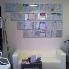 Przedsiębiorstwo 1 wizerunek STREFA SŁUCHU Słuchowe Aparaty w Warszawa MZ