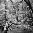 Przedsiębiorstwo 6 wizerunek STUDIO 48 MAREK BUŁAJ PHOTOGRAPHY Kategoria w Wrocław DS