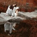 Przedsiębiorstwo 3 wizerunek STUDIO FOTOGRAFICZNE MULTIARTE Kategoria w Łódź LD