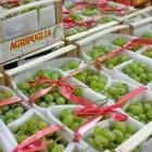 Przedsiębiorstwo 21 wizerunek TARGPIAST SP. Z O.O. Zdrowa Żywność w Wrocław DS