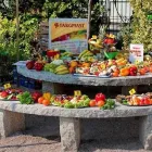 Przedsiębiorstwo 28 wizerunek TARGPIAST SP. Z O.O. Zdrowa Żywność w Wrocław DS