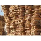 Przedsiębiorstwo 2 wizerunek TARTAK NOW TRAK Kategoria w Konstantynów Łódzki LD