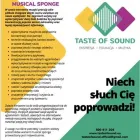 Przedsiębiorstwo 2 wizerunek TASTE OF SOUND MARIA JEŻ Szkoły Wyższe Publiczne w Warszawa MZ