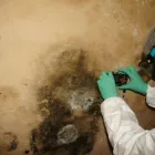 Przedsiębiorstwo 6 wizerunek TECHNOBUD Kategoria w Warszawa MZ