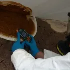 Przedsiębiorstwo 7 wizerunek TECHNOBUD Kategoria w Warszawa MZ